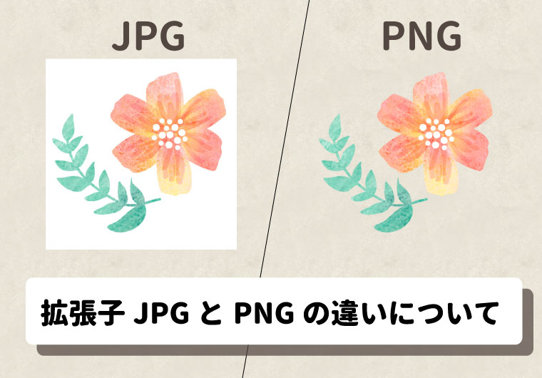 拡張子　JPGとPNGの違いについて